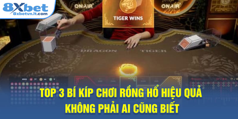 Top 3 bí kíp chơi Rồng Hổ hiệu quả không phải ai cũng biết